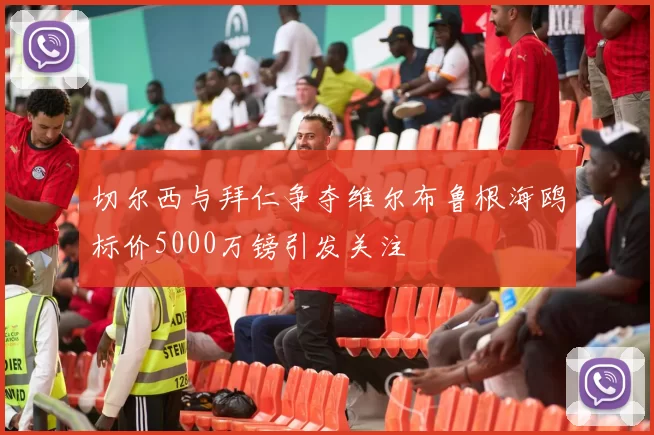 切尔西与拜仁争夺维尔布鲁根海鸥标价5000万镑引发关注