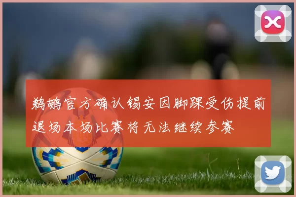 鹈鹕官方确认锡安因脚踝受伤提前退场本场比赛将无法继续参赛