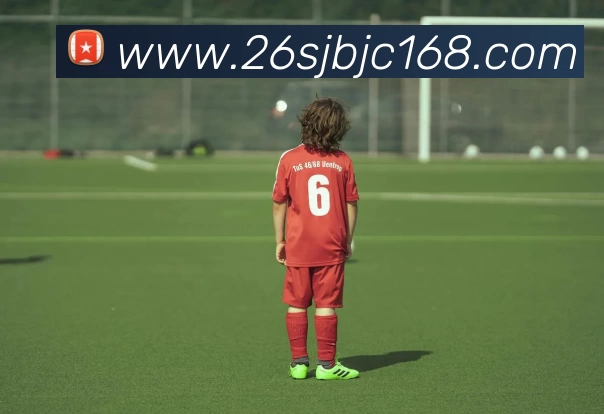 APP界面展示